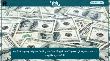 أسعار الصرف في مصر تشهد تراجعًا حادًا خلال ثلاث سنوات بسبب ضغوط اقتصادية متزايدة